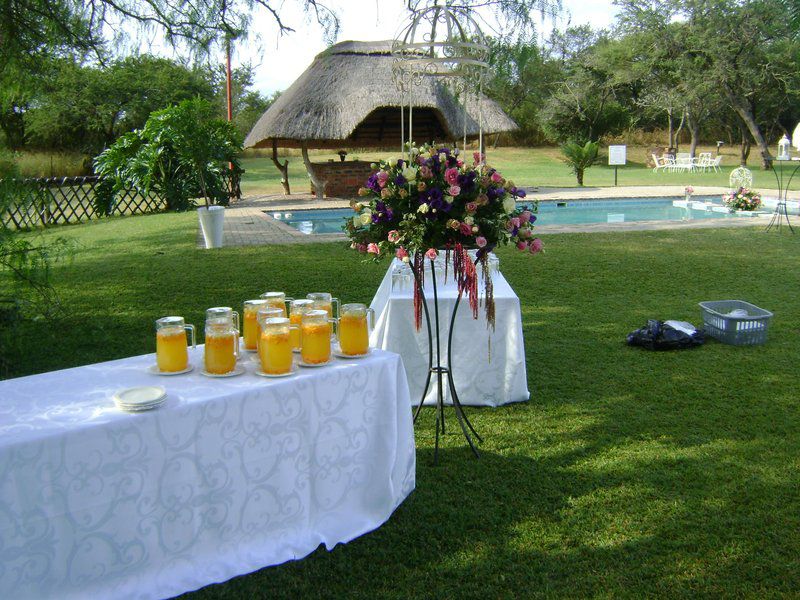 Lalapanzi Hotel Makhado Louis Trichardt Limpopo Province South Africa Juice, Drink