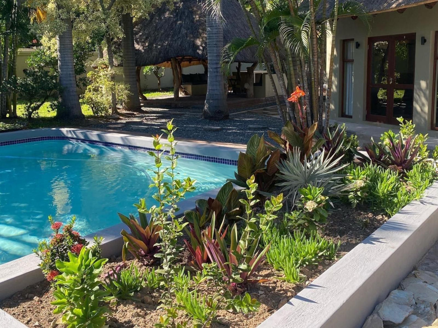 La Lechere Guest House Phalaborwa Limpopo Province South Africa Garden, Nature, Plant, Swimming Pool