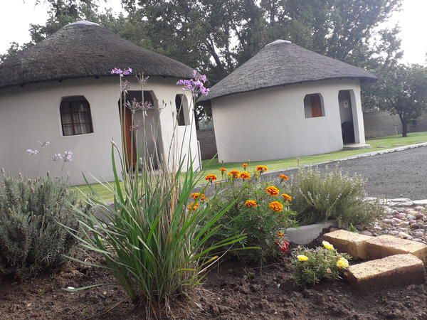 Lallapanzi Country Stay Ermelo Mpumalanga South Africa Unsaturated, House, Building, Architecture, Plant, Nature, Garden