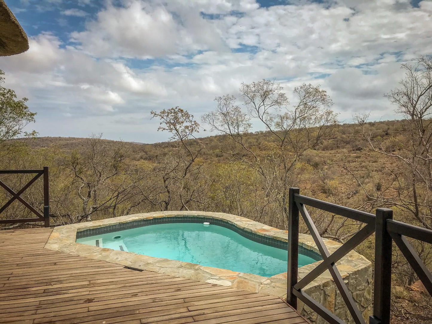 Laluka Safari Lodge Welgevonden Game Reserve Limpopo Province South Africa Swimming Pool