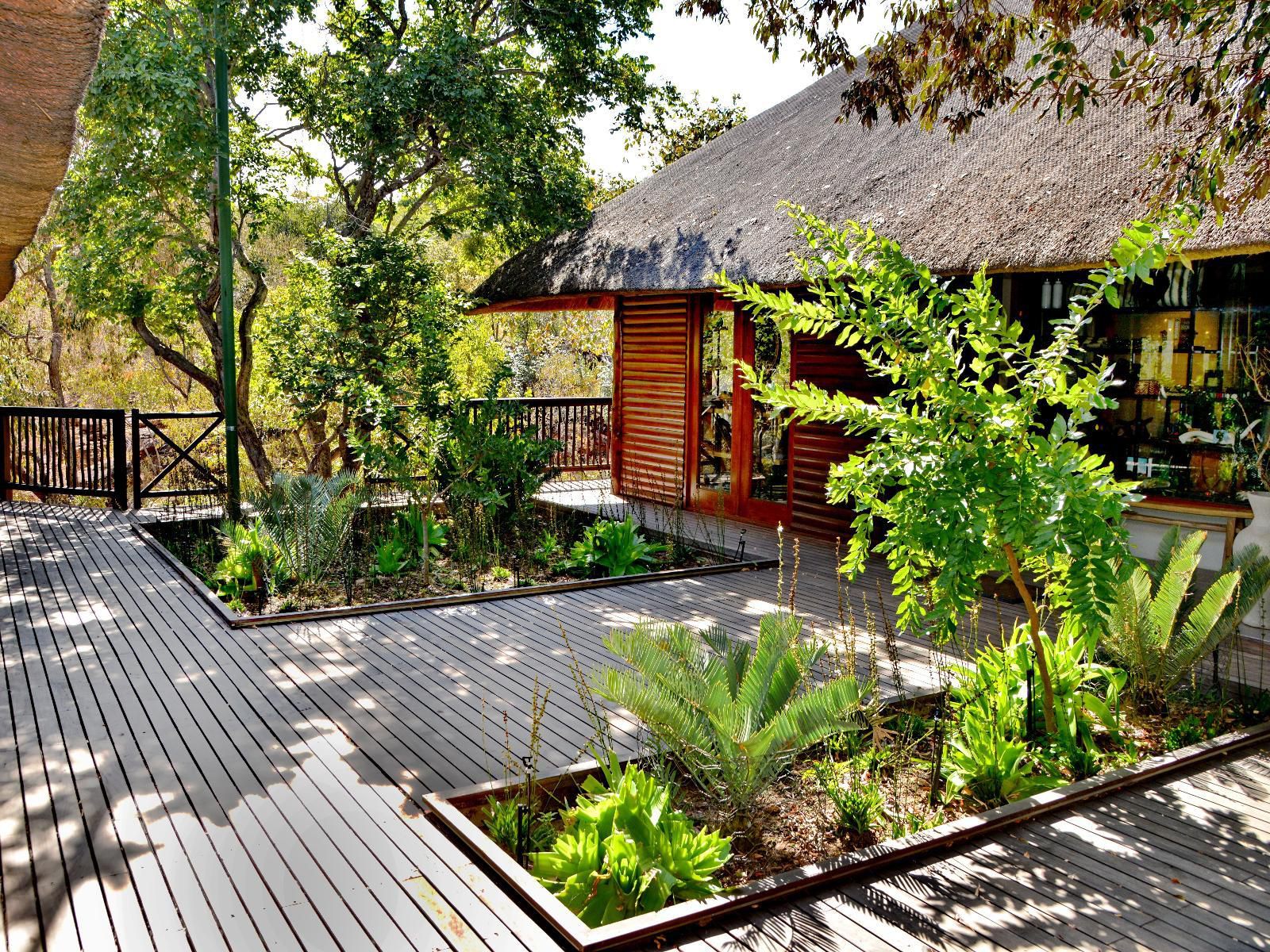 Laluka Safari Lodge Welgevonden Game Reserve Limpopo Province South Africa Garden, Nature, Plant