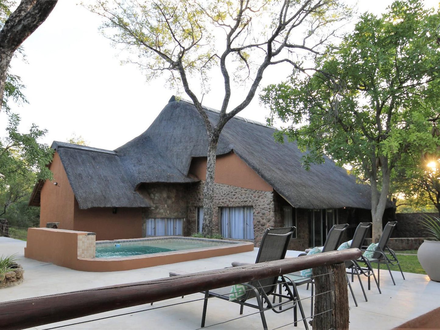 Lamai Safari Hoedspruit Limpopo Province South Africa Swimming Pool