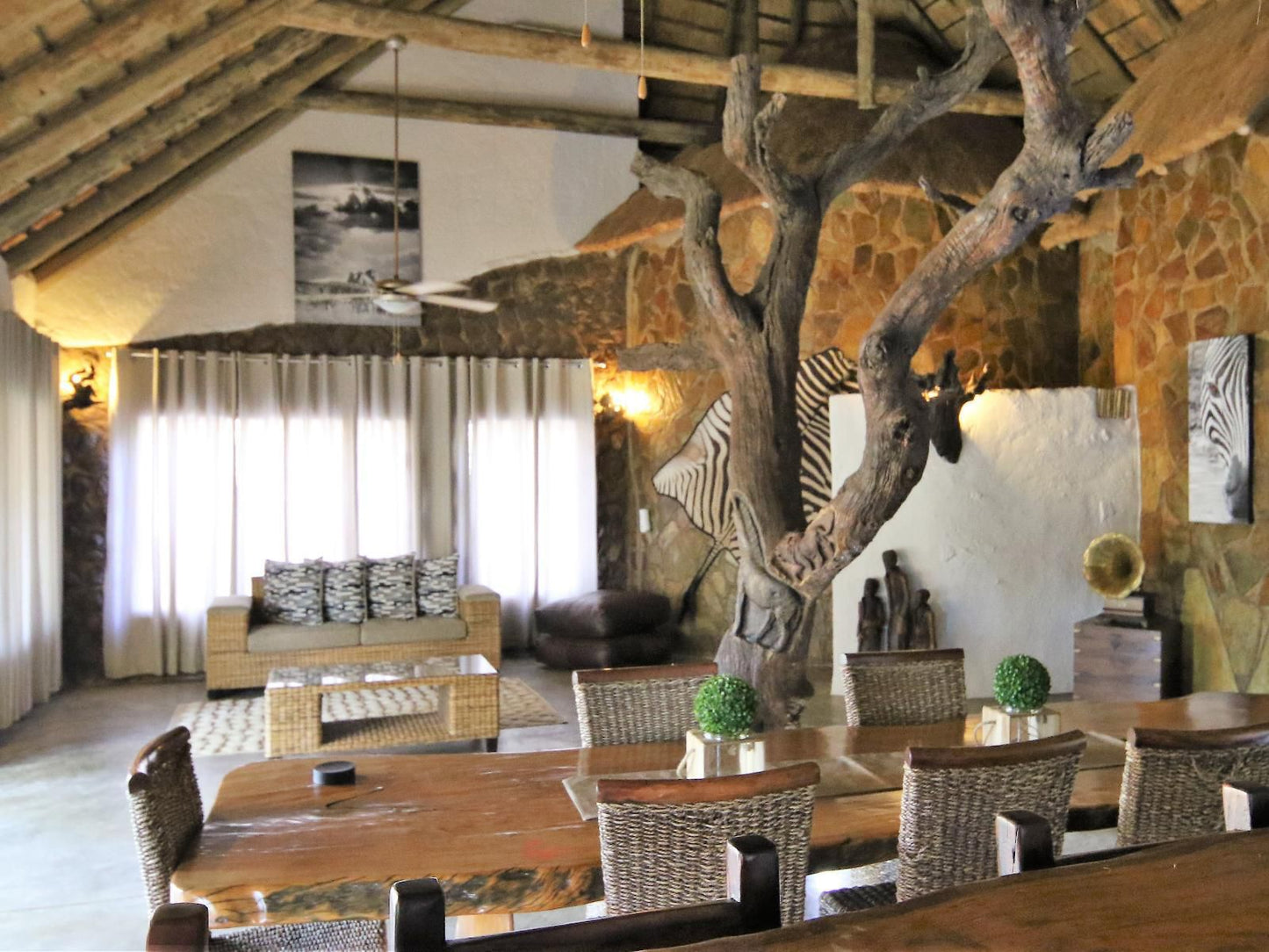 Lamai Safari Hoedspruit Limpopo Province South Africa Bar