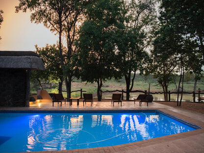 Lamai Safari Hoedspruit Limpopo Province South Africa Swimming Pool