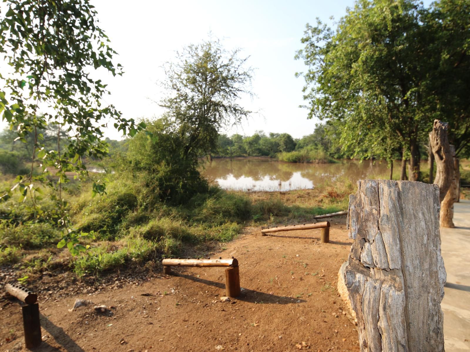 Lamai Safari Hoedspruit Limpopo Province South Africa Boat, Vehicle, Canoe, Lake, Nature, Waters, River, Tree, Plant, Wood