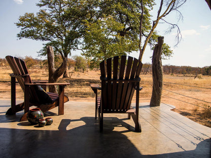 Savanna Chalet Lion @ Lamai Safari