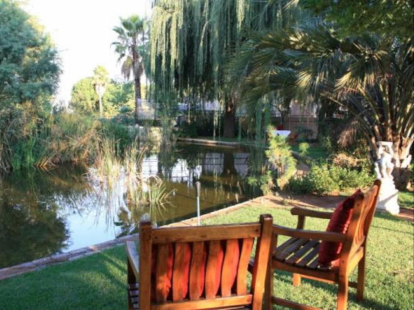 La Maison De Ville Springs Gauteng South Africa Palm Tree, Plant, Nature, Wood, Garden