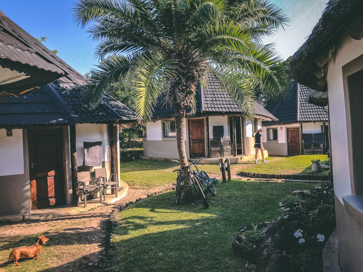 Lambazi Lodge, Beach, Nature, Sand, Building, Architecture, House, Palm Tree, Plant, Wood, Person