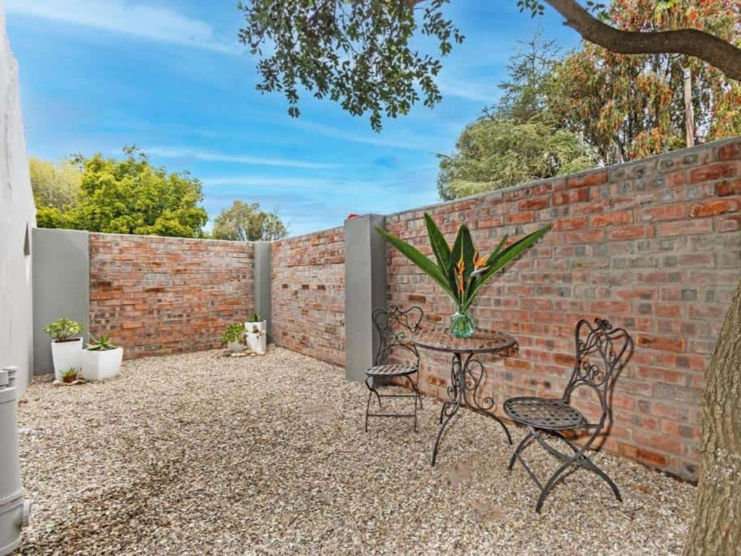 La Montagne Bed And Breakfast Riebeek Kasteel Western Cape South Africa Complementary Colors, Brick Texture, Texture, Garden, Nature, Plant