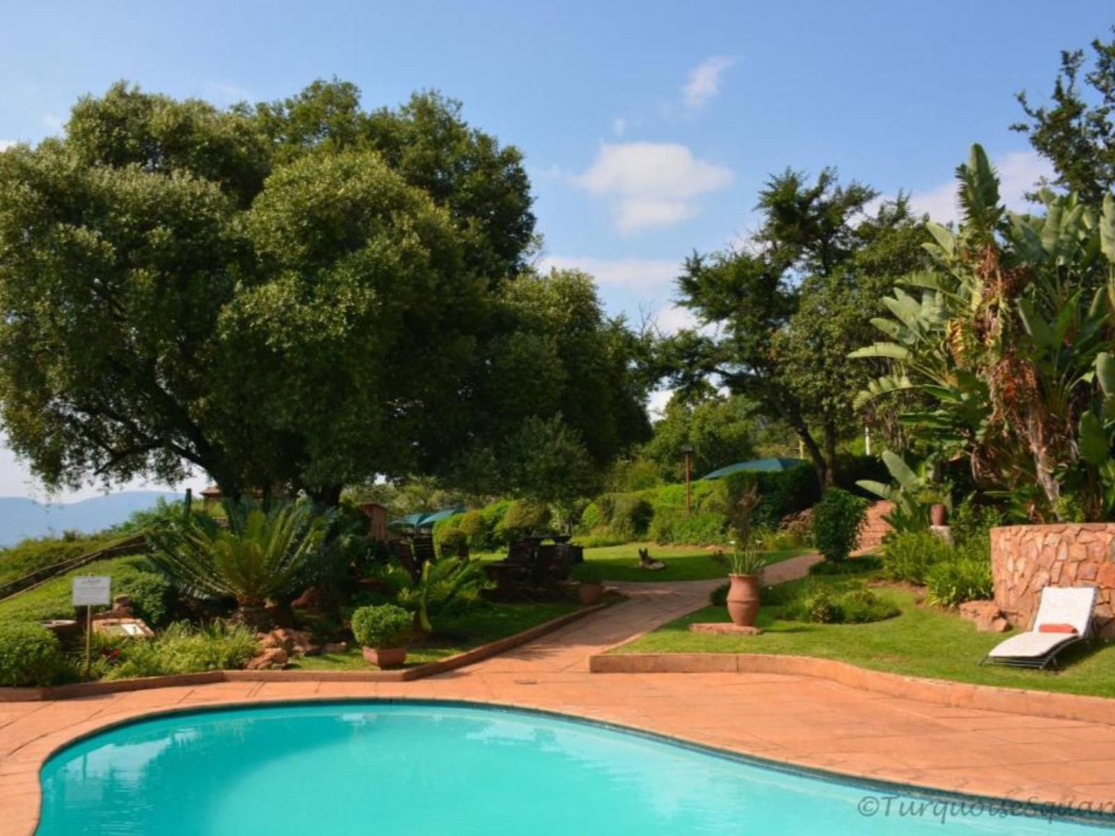 La Montagne Guest Lodge Broederstroom Hartbeespoort North West Province South Africa Complementary Colors, Palm Tree, Plant, Nature, Wood, Garden, Swimming Pool