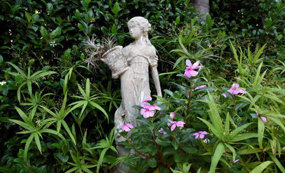 Lamor Guest House Middelburg Mpumalanga Mpumalanga South Africa Flower, Plant, Nature, Rose, Statue, Architecture, Art, Garden