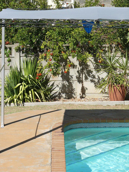 Lampies Hermon Western Cape South Africa Complementary Colors, Palm Tree, Plant, Nature, Wood, Garden, Swimming Pool