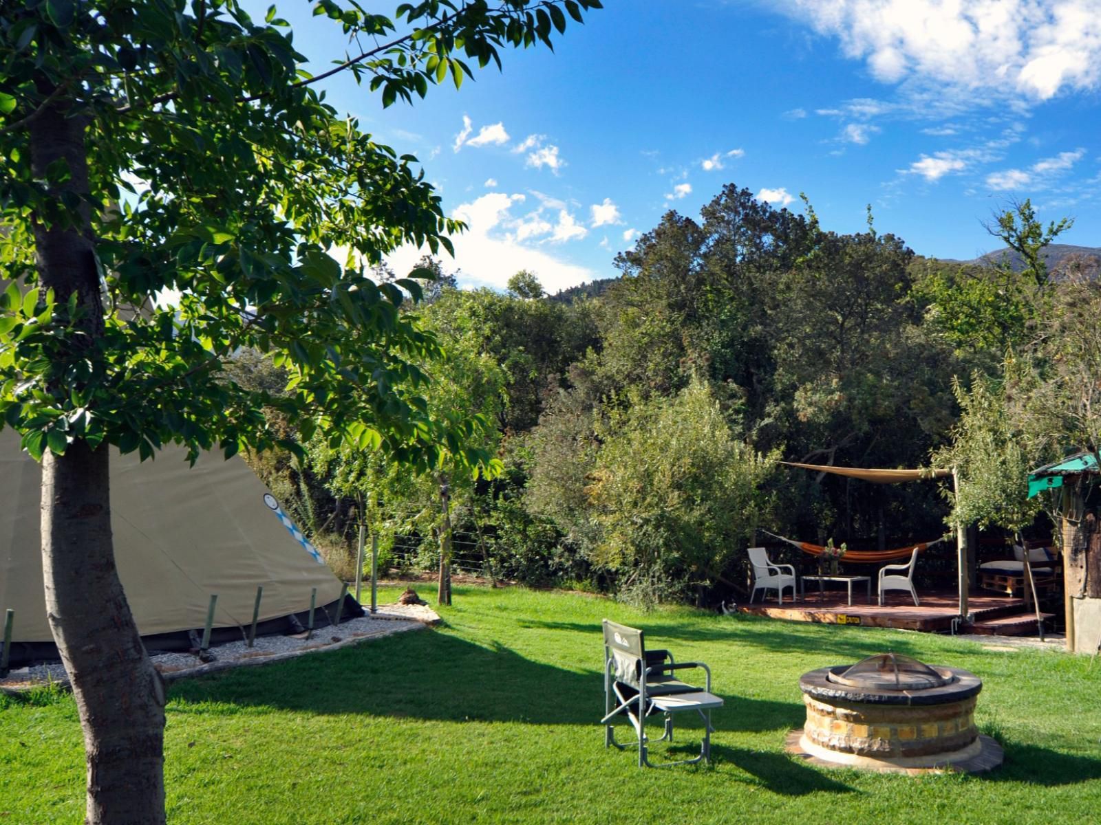 Lancewood Tipi Lodge Assegai Rest Robertson Western Cape South Africa Complementary Colors, Tree, Plant, Nature, Wood