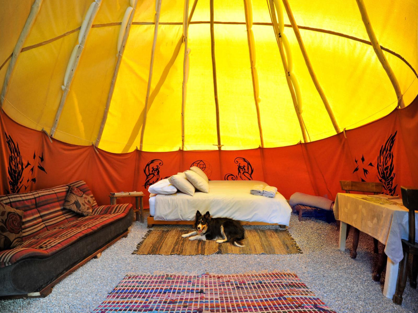 Lancewood Tipi Lodge Assegai Rest Robertson Western Cape South Africa Colorful, Cat, Mammal, Animal, Pet, Tent, Architecture