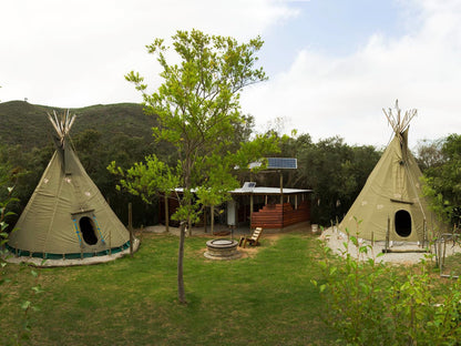 Lancewood Tipi Lodge Assegai Rest Robertson Western Cape South Africa Tent, Architecture