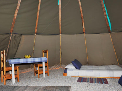 Paws TiPi @ Lancewood Tipi Lodge @ Assegai Rest