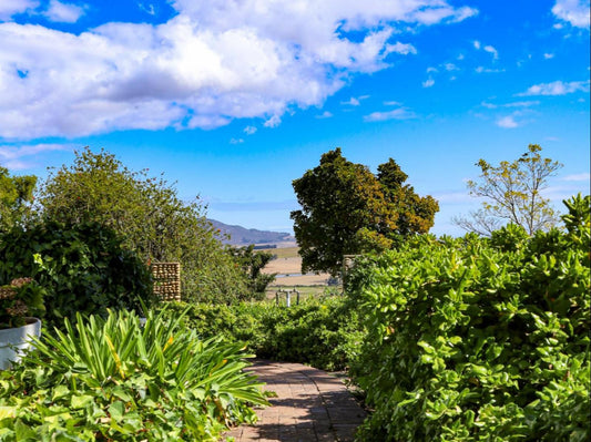 Landskroon Cottage, Colorful, Plant, Nature, Garden