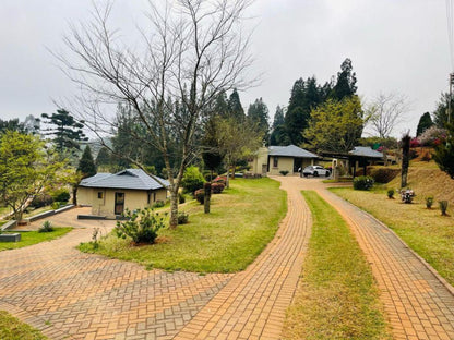 Langa Langa On The Mountain Bend Haenertsburg Limpopo Province South Africa House, Building, Architecture, Tree, Plant, Nature, Wood, Garden