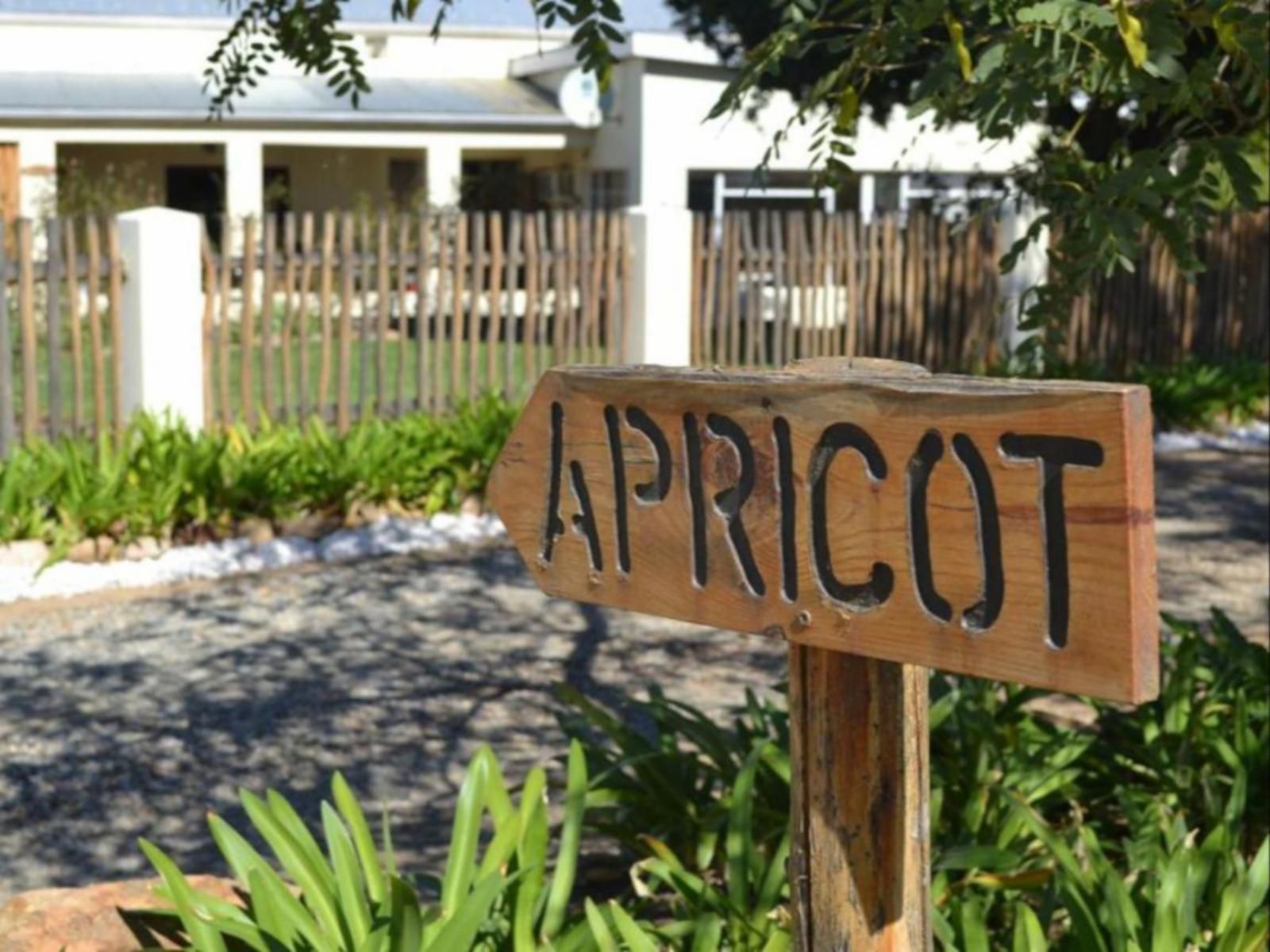 Langdam Guest Farm, Palm Tree, Plant, Nature, Wood, Sign, Text