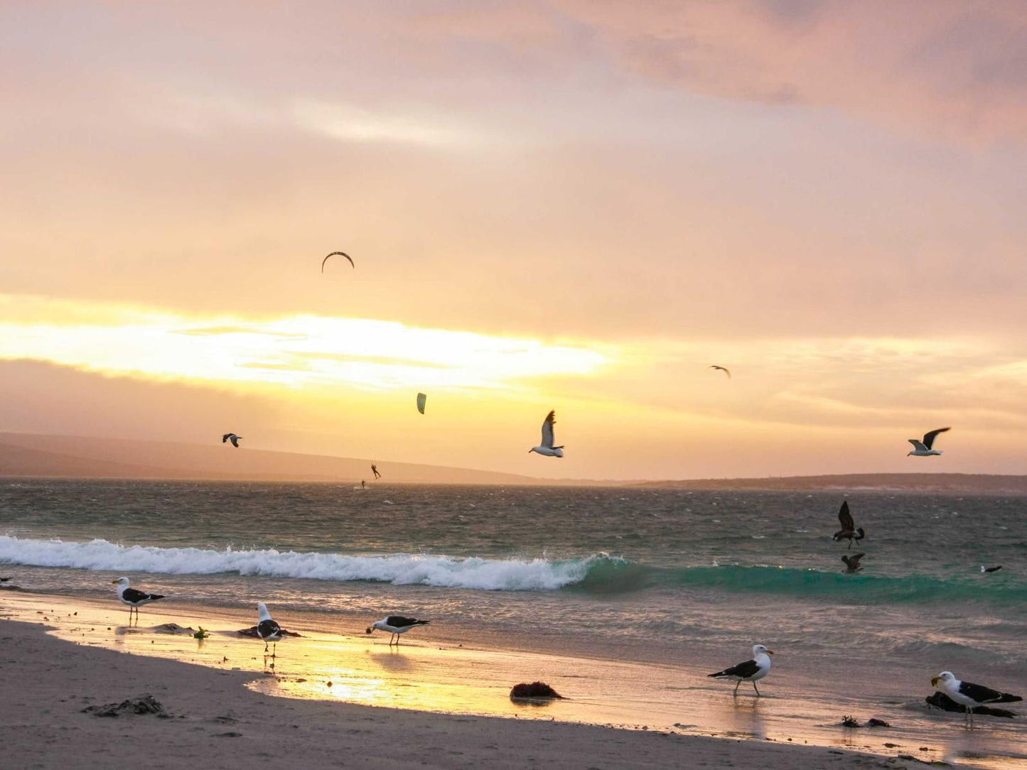 Langebaan Beach Accommodation, Beach, Nature, Sand, Sky, Surfboard, Water Sport, Ocean, Waters, Sunset