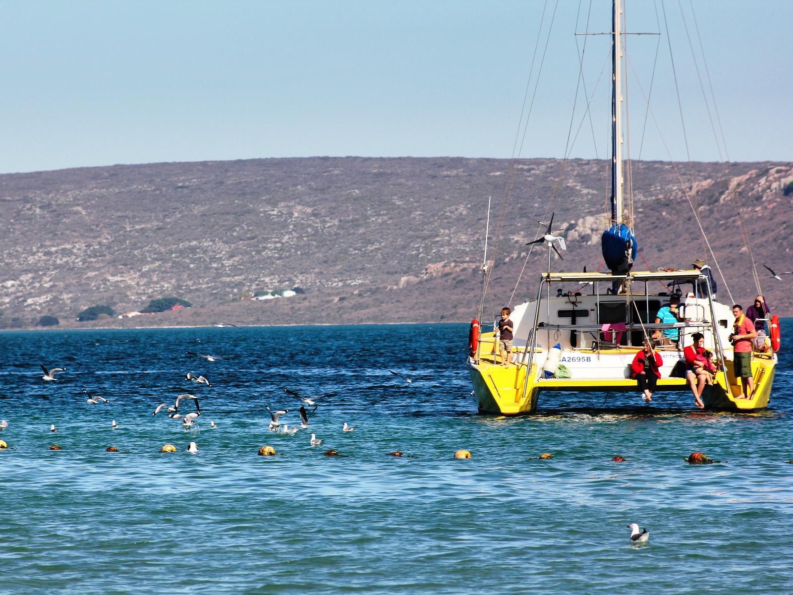 Langebaan Holiday Homes, Beach, Nature, Sand, Ocean, Waters