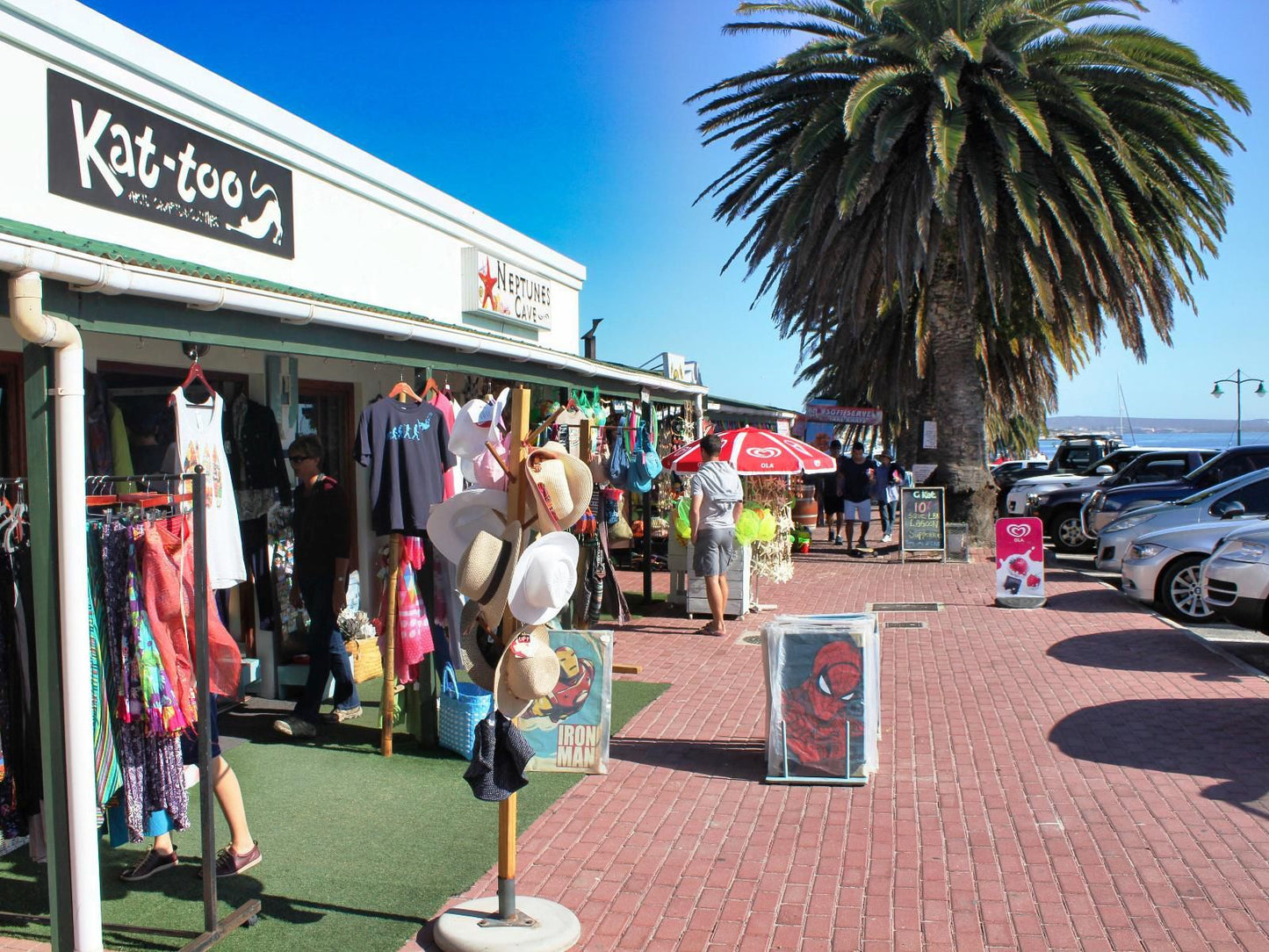 Langebaan Holiday Homes, Palm Tree, Plant, Nature, Wood, Sign, City, Architecture, Building, Market, Person