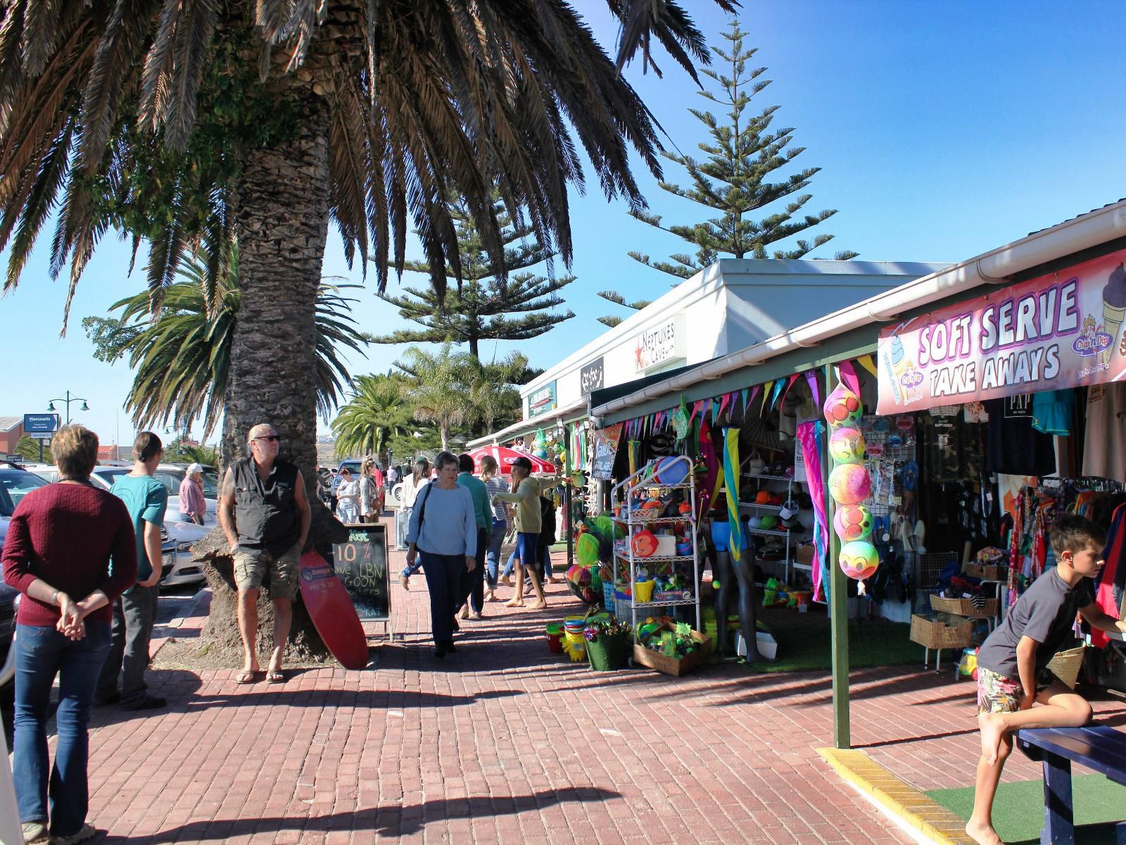 Langebaan Holiday Homes, Palm Tree, Plant, Nature, Wood, City, Architecture, Building, Market, Person