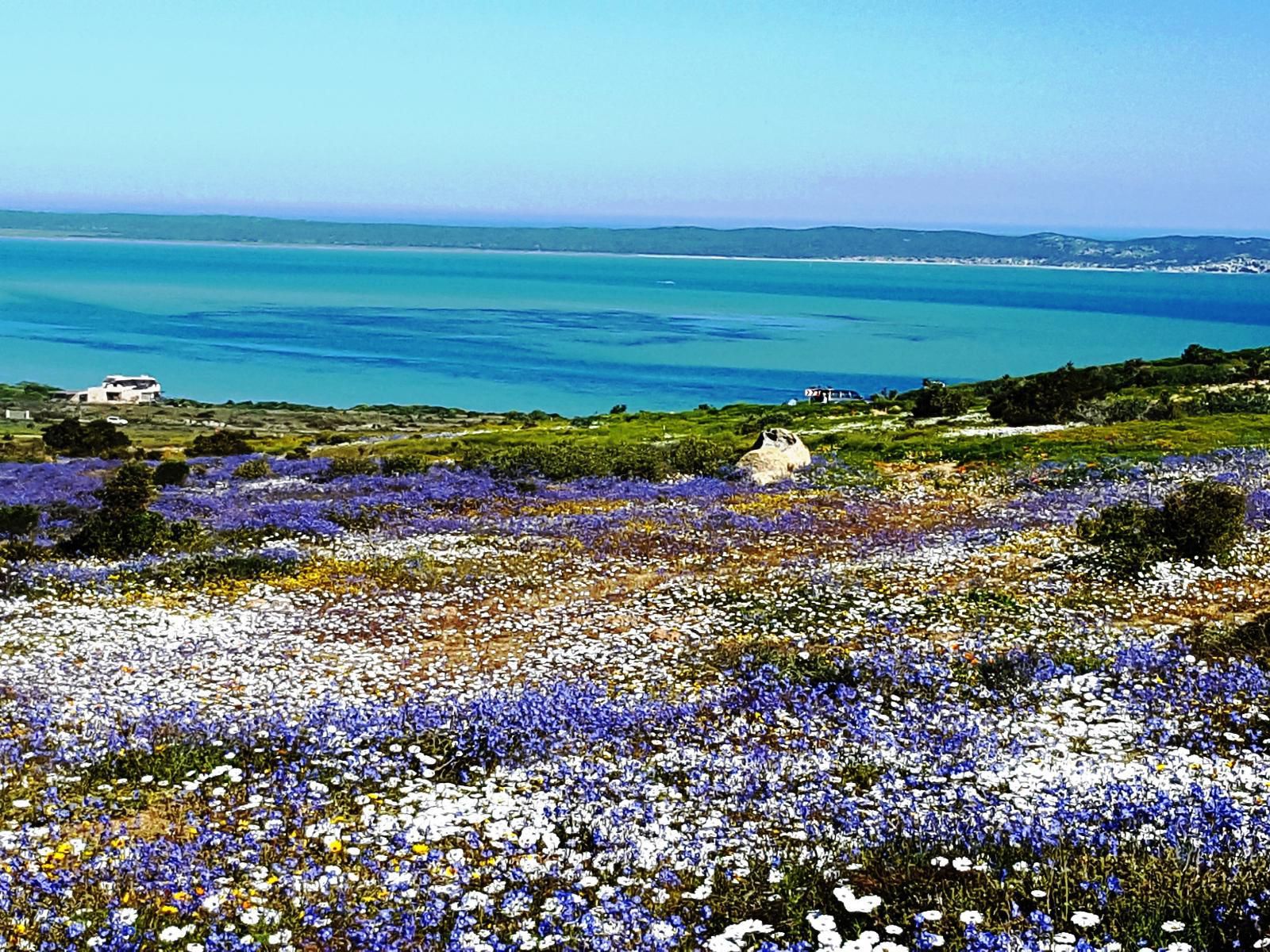 Langebaan Holiday Homes, Beach, Nature, Sand, Lavender, Plant