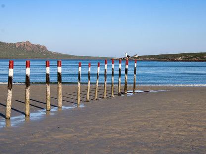 Langebaan Holiday Homes, Beach, Nature, Sand