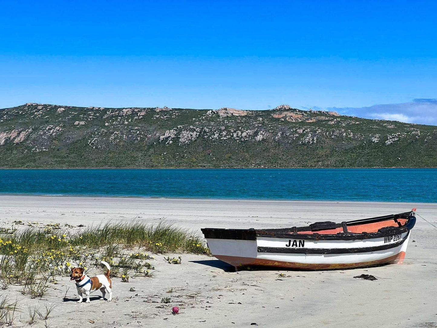 Langebaan Holiday Homes, Boat, Vehicle, Beach, Nature, Sand, Island