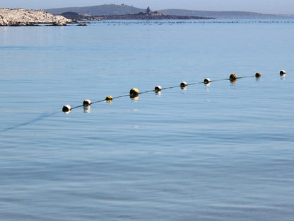 Langebaan Holiday Homes, Nivica 57, Langebaan, 4 Sleeper, Bird, Animal, Beach, Nature, Sand