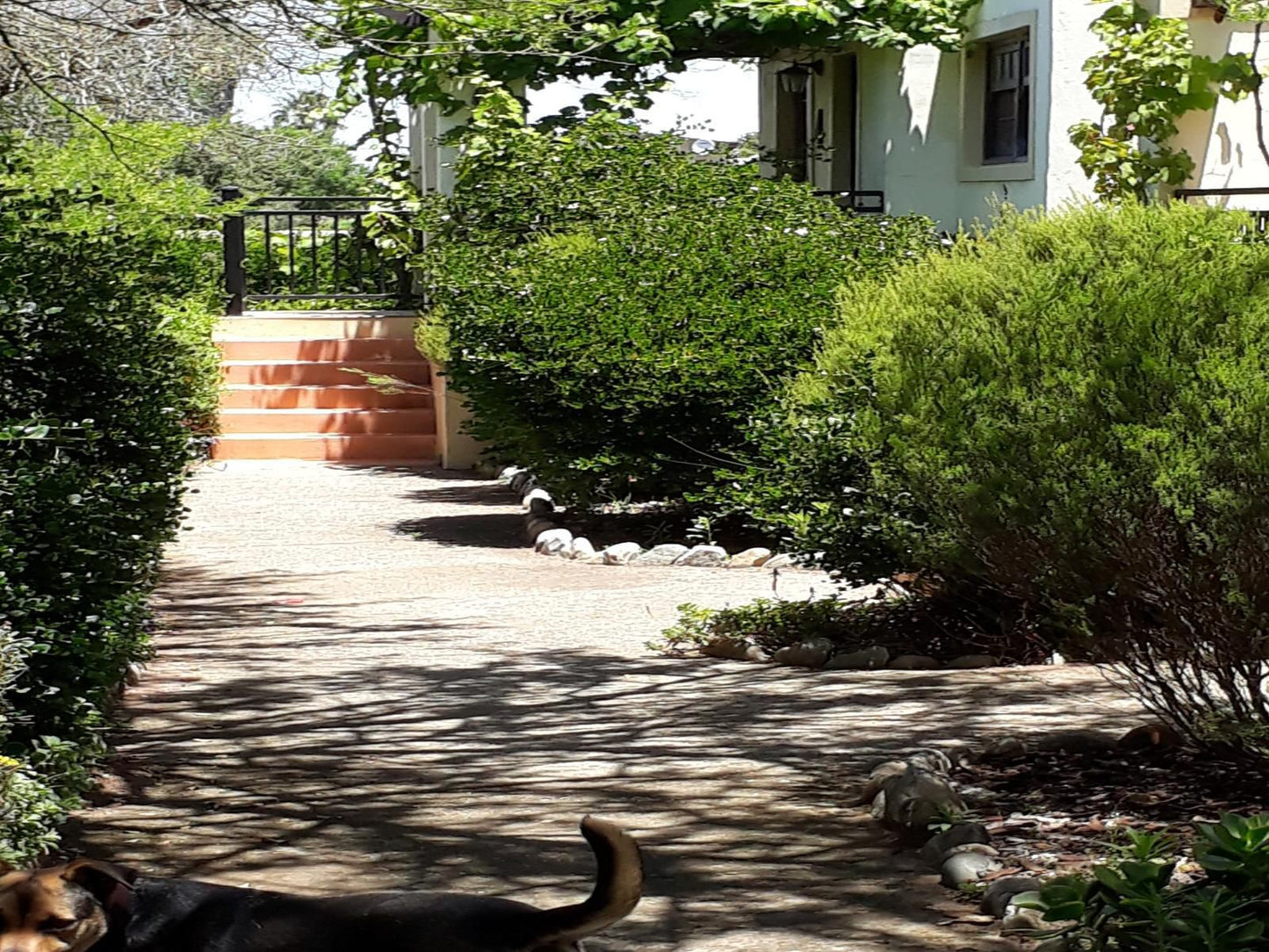 Langeberg Guest Lodge Swellendam Western Cape South Africa House, Building, Architecture, Plant, Nature, Garden