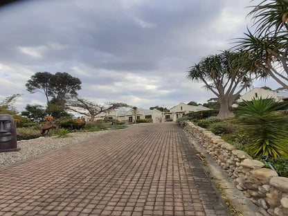 Langeberg Guest Lodge Swellendam Western Cape South Africa House, Building, Architecture, Palm Tree, Plant, Nature, Wood