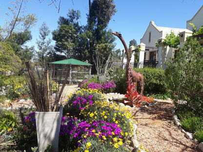 Langeberg Guest Lodge Swellendam Western Cape South Africa Complementary Colors, Plant, Nature, Garden