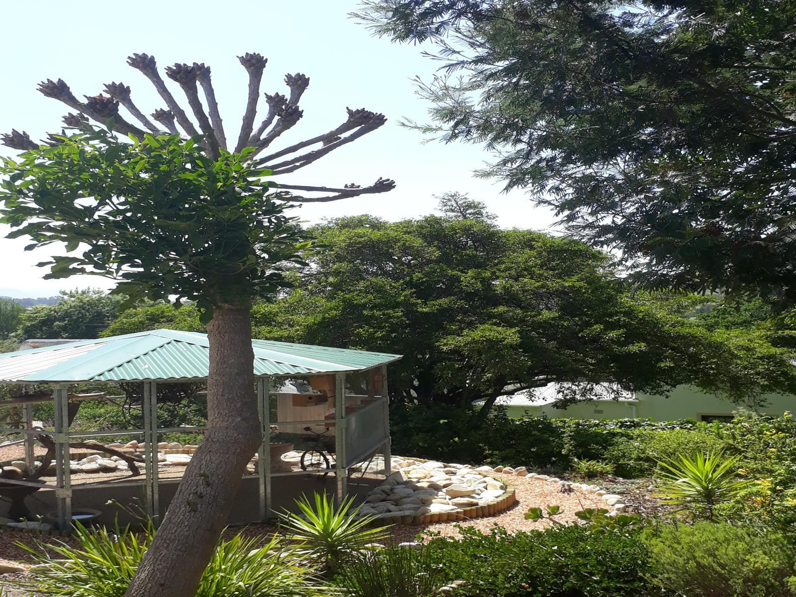 Langeberg Guest Lodge Swellendam Western Cape South Africa Palm Tree, Plant, Nature, Wood