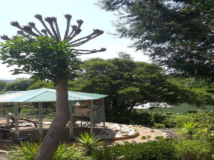 Langeberg Guest Lodge Swellendam Western Cape South Africa Palm Tree, Plant, Nature, Wood