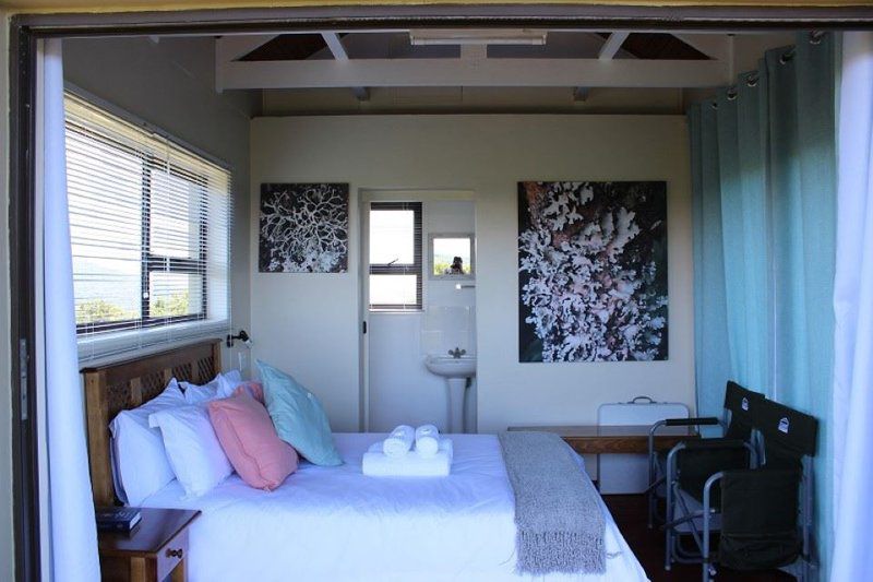 Langebos Huts Addo Elephant National Park Sanparks Alexandria Eastern Cape South Africa Window, Architecture, Bedroom