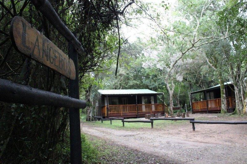 Langebos Huts Addo Elephant National Park Sanparks Alexandria Eastern Cape South Africa Forest, Nature, Plant, Tree, Wood