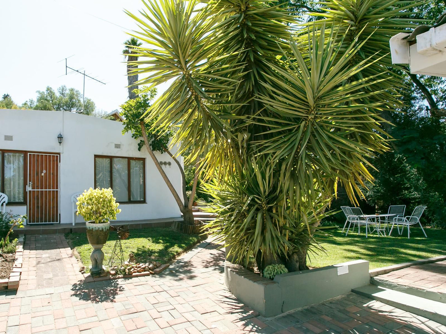 Langenhoven Bandb Oudtshoorn Western Cape South Africa House, Building, Architecture, Palm Tree, Plant, Nature, Wood