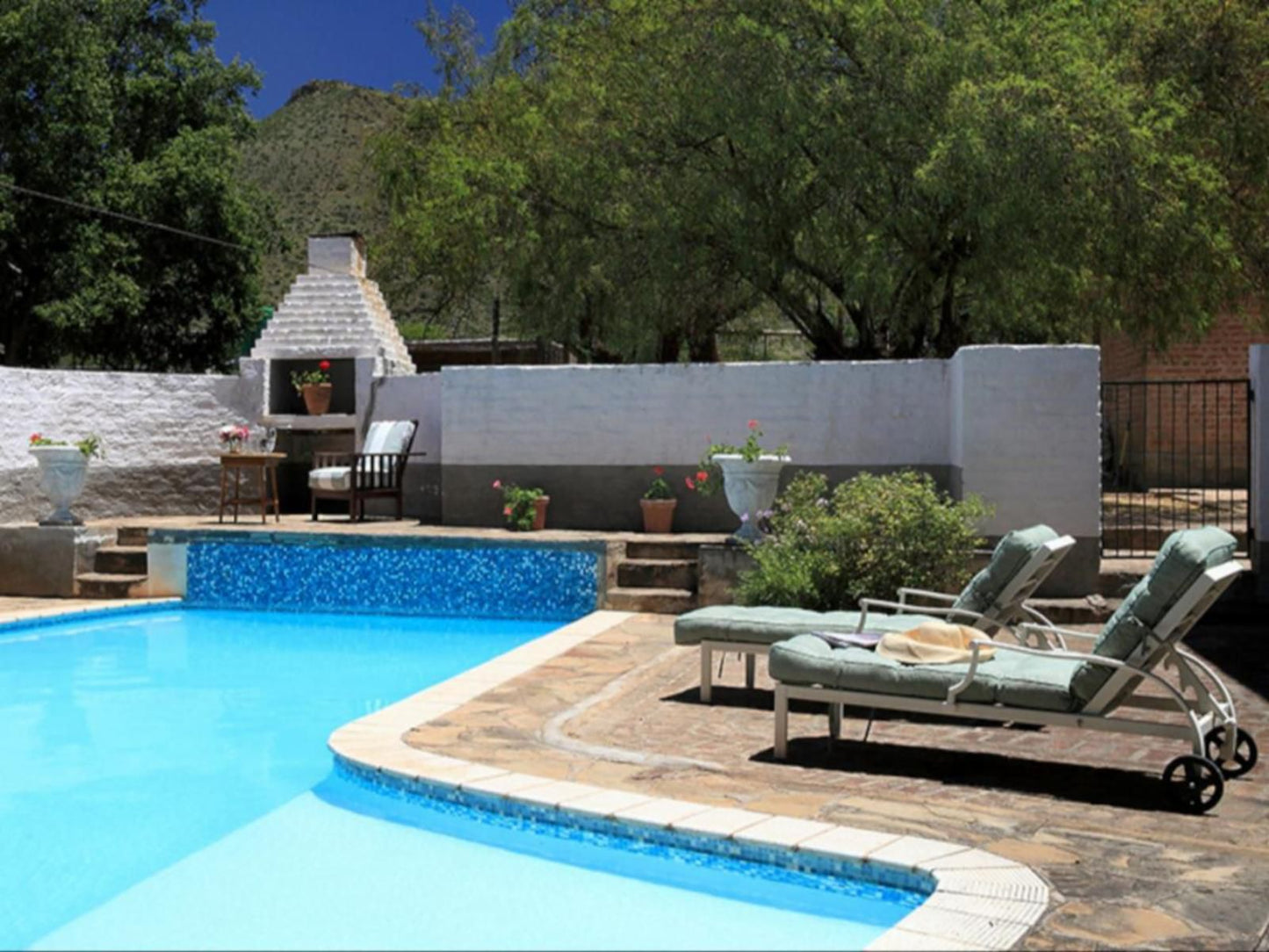 Langfontein Guest Farm Graaff Reinet Eastern Cape South Africa Complementary Colors, Garden, Nature, Plant, Swimming Pool