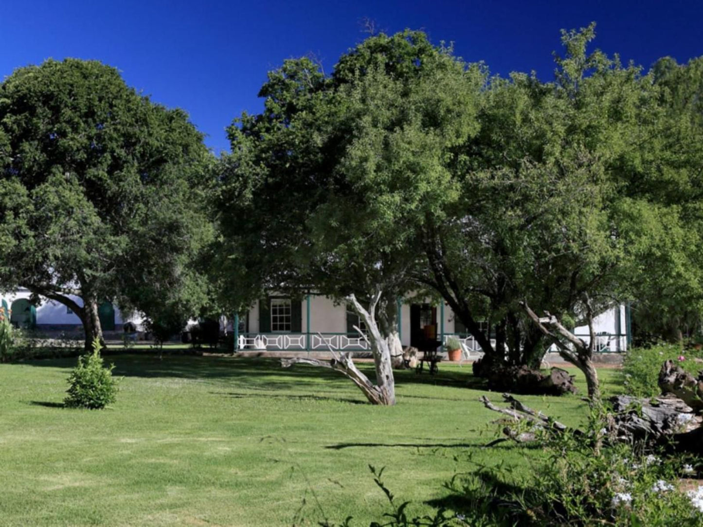 Langfontein Guest Farm Graaff Reinet Eastern Cape South Africa House, Building, Architecture, Plant, Nature, Tree, Wood