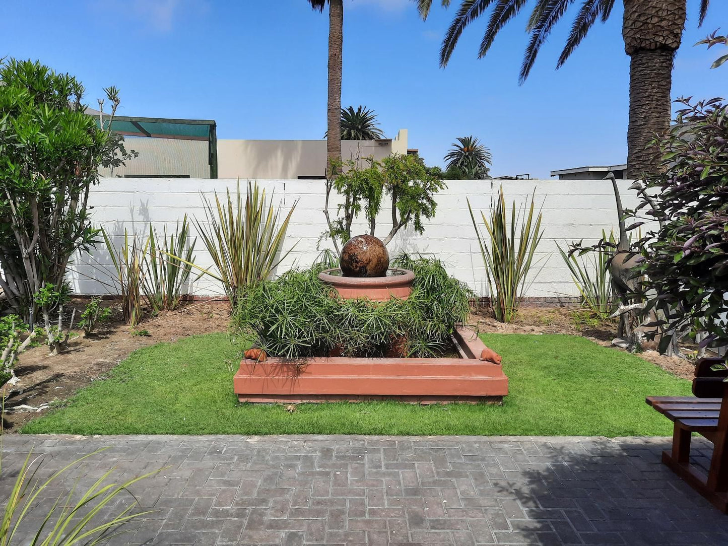 Langholm Hotel, Palm Tree, Plant, Nature, Wood, Garden