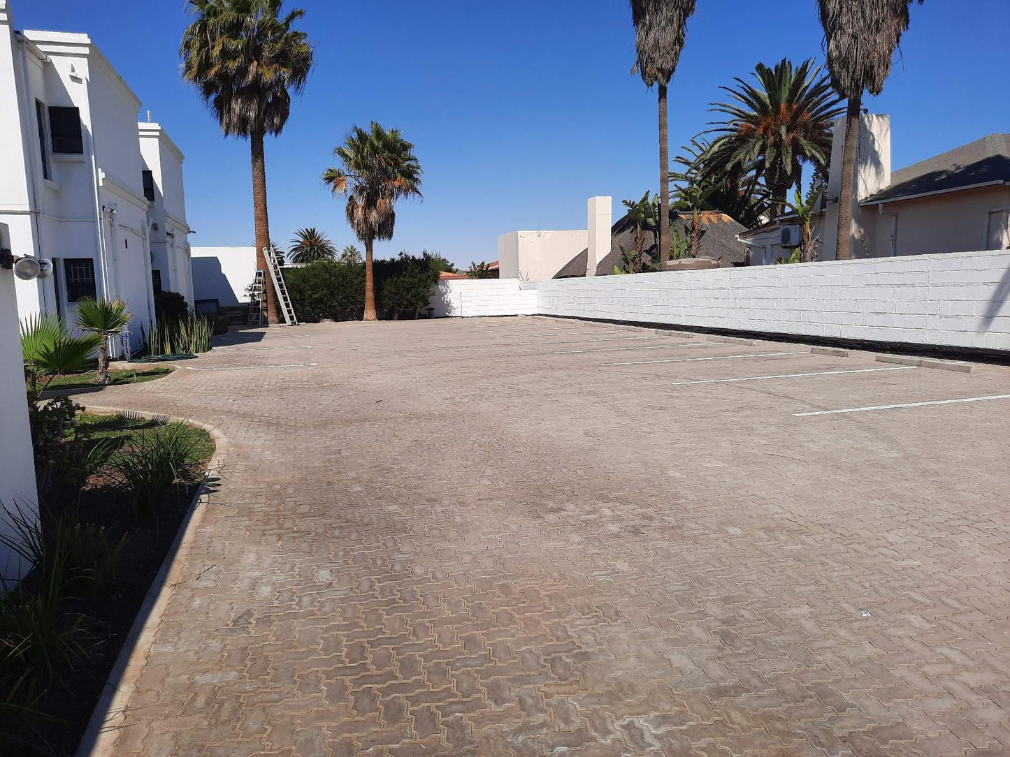 Langholm Hotel, Beach, Nature, Sand, Palm Tree, Plant, Wood, Swimming Pool