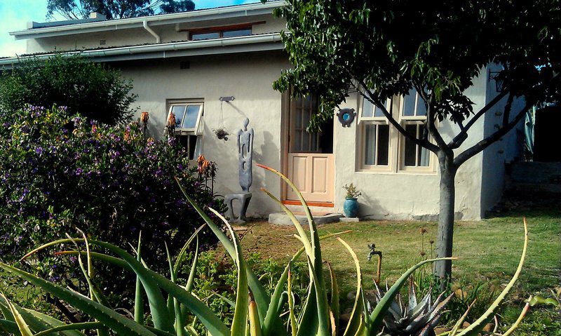 Langkloof Gallery And Sculpture Garden Uniondale Western Cape South Africa House, Building, Architecture, Palm Tree, Plant, Nature, Wood, Garden