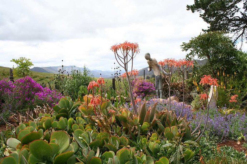 Langkloof Gallery And Sculpture Garden Uniondale Western Cape South Africa Plant, Nature, Garden