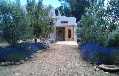 Langkloof Gallery And Sculpture Garden Uniondale Western Cape South Africa Plant, Nature, Garden