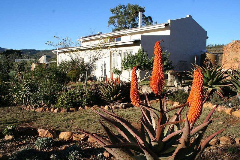 Langkloof Gallery And Sculpture Garden Uniondale Western Cape South Africa Complementary Colors, House, Building, Architecture, Palm Tree, Plant, Nature, Wood, Garden