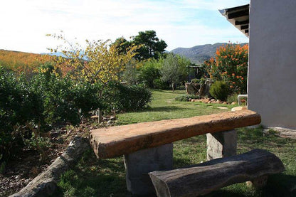 Langkloof Gallery And Sculpture Garden Uniondale Western Cape South Africa Garden, Nature, Plant