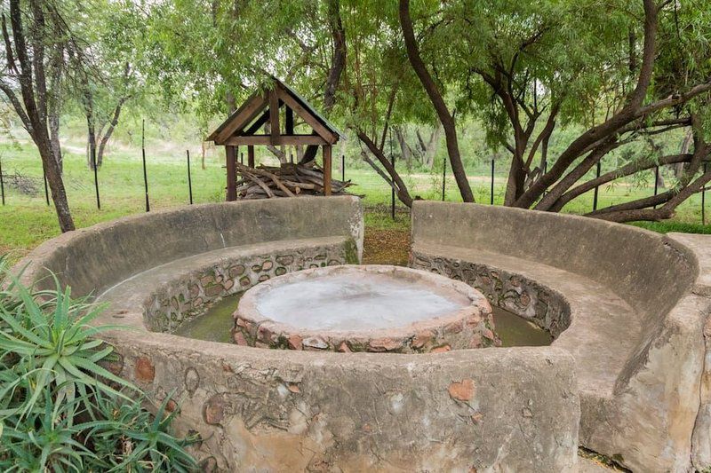 Langkloof Game Farm Mabula Private Game Reserve Limpopo Province South Africa 