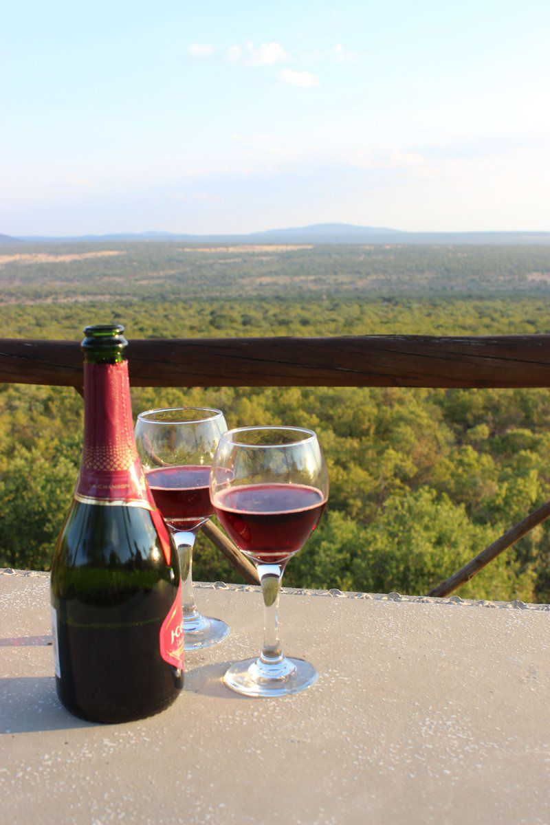 Langkloof Game Farm Mabula Private Game Reserve Limpopo Province South Africa Drink, Wine, Wine Glass, Glass, Drinking Accessoire, Food